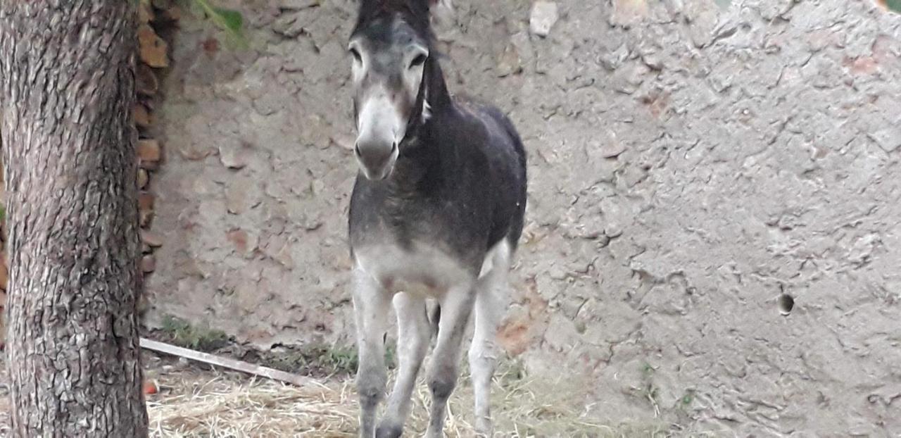 Casa Rural Entresierras Beires 外观 照片